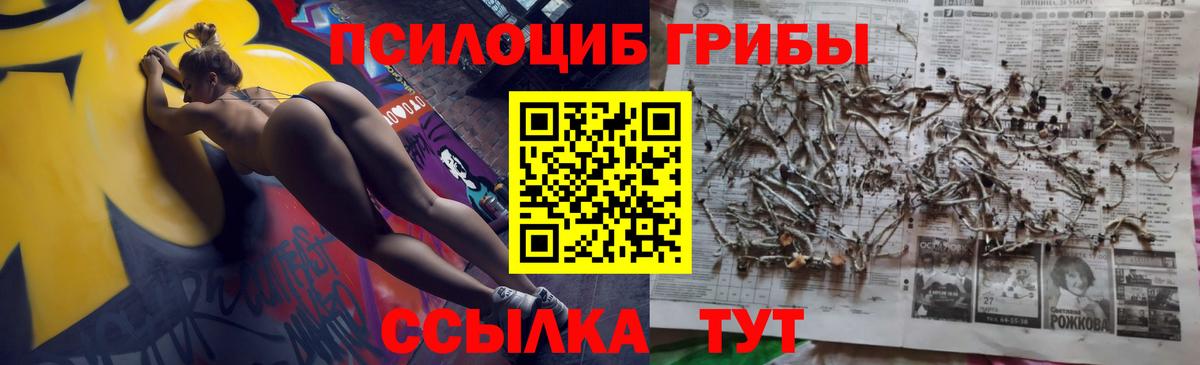 Псилоцибиновые грибы GOLDEN TEACHER Гулькевичи