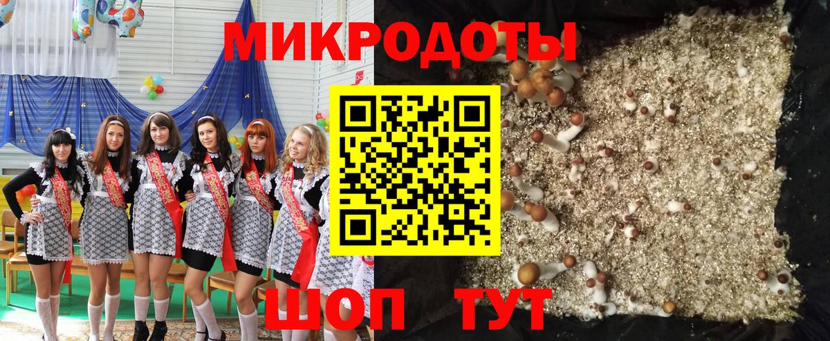 закладки  Псилоцибиновые грибы GOLDEN TEACHER  Галлюциногенные грибы мицелий  Вход с VPN  Гулькевичи 